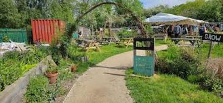 Picture of a Green well kept garden