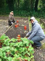 Image of two people doing some planting