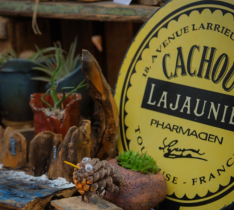 Altrincham market